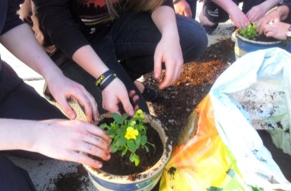 Closeup of a group people's hands gardening